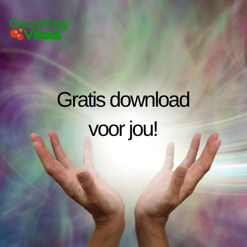 Geleide visualisatie, download