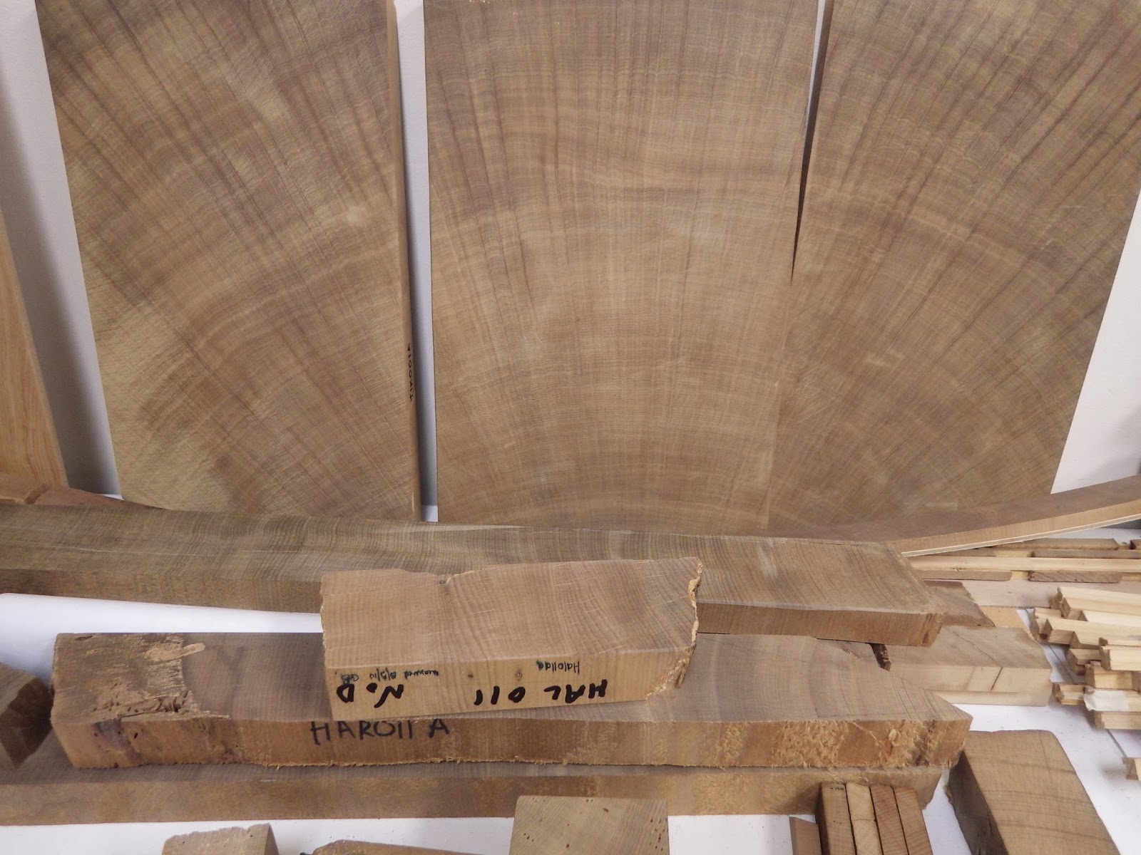 Sabbatical Tour Dendrochronology and Sustainability University of