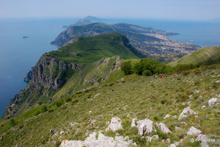 Nessuna Paura Che Mi Calpestino. Calpestata L'erba Diventa Un Sentiero