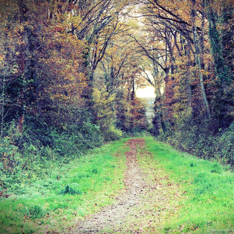 Beautiful Nature Profile Pictures Top Profile Pictures Display Pictures