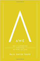 https://www.amazon.com/Awe-Why-Matters-Everything-Think/dp/1433547074