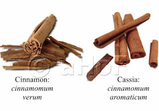 True Cinnamon, Cassia Cinnamon