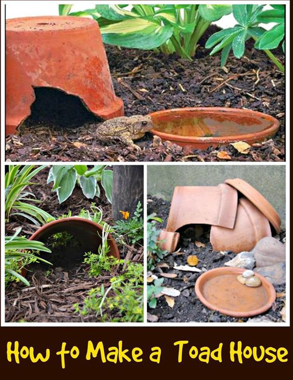 DIY Home Sweet Home 8 Ways To Attract Toads To Your Garden