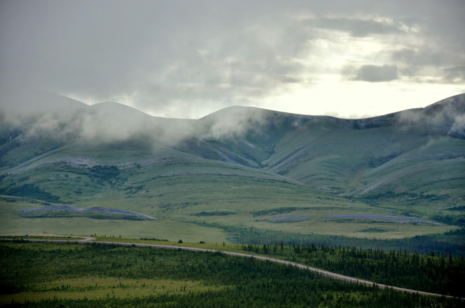 Landscape where 169,000 porcupine caribou herd winters.