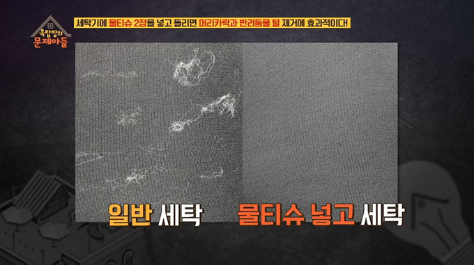 이미지에 대체텍스트 속성이 없습니다; 파일명은 4a35b4b5-c85f-4788-846c-c9000d68ad80.jpg 입니다.
