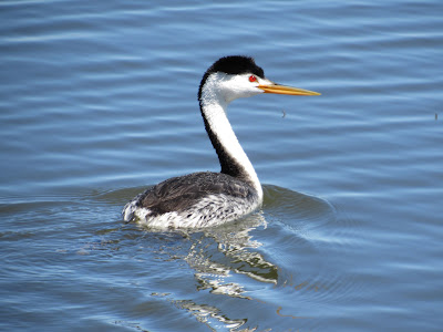 Tule Lake National Wildlife Refuge California