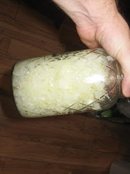 onions canning pressure onion preparation survival lbs minutes done step them re