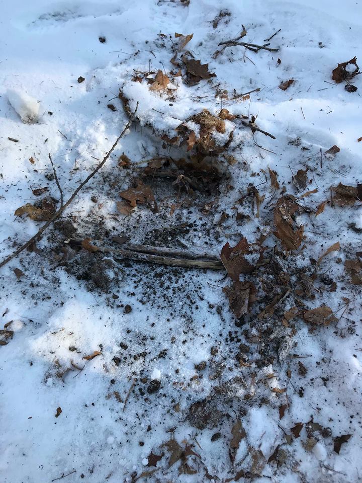 Skye Goode How to Make Waxed Dirt for Winter Trapping