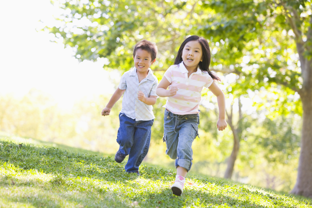 Tips Membuat Taman Air untuk Rumah Minimalis Tips Membuat Taman Air untuk Rumah Minimalis