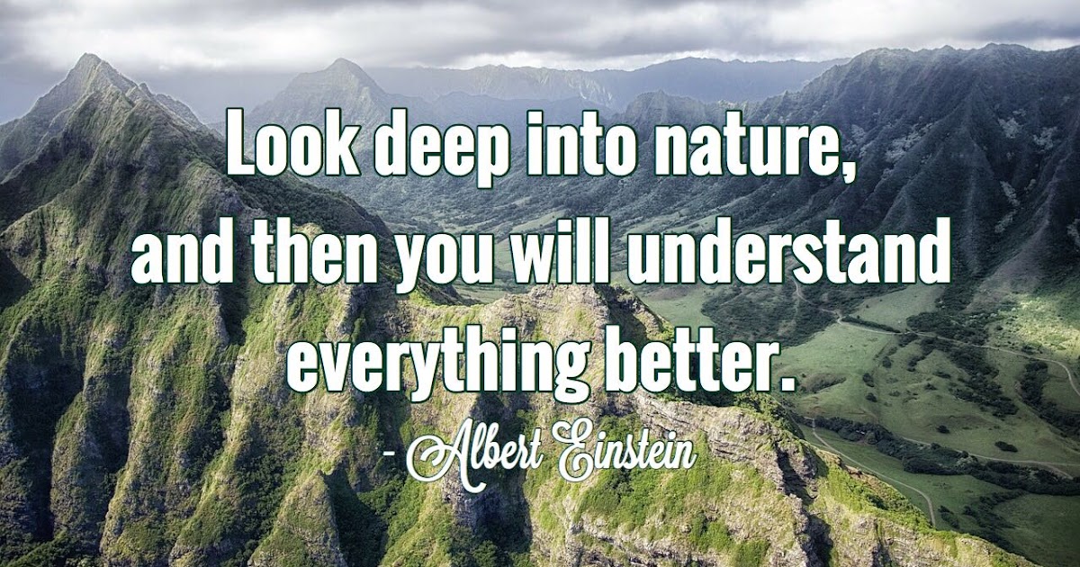 Newest Quotes Divergent Dan Artinya, Paling Heboh!