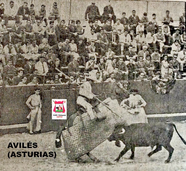 AVILÉS TOROS