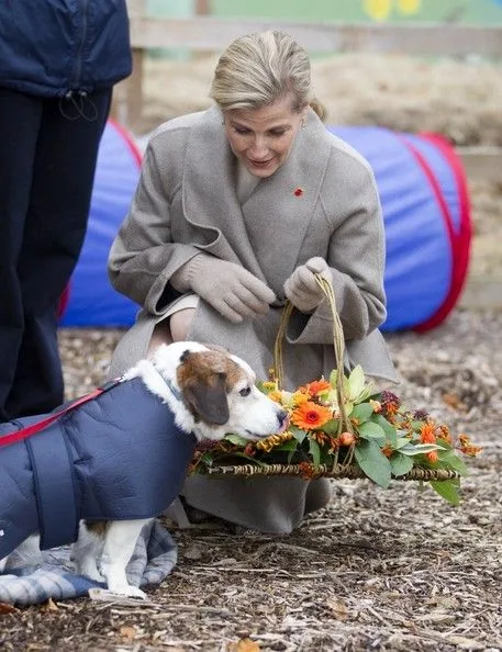 Sophie, Countess of Wessex. Prior's Court School is an exceptional school for children with autism and is one of the most advanced of its kind in the world.