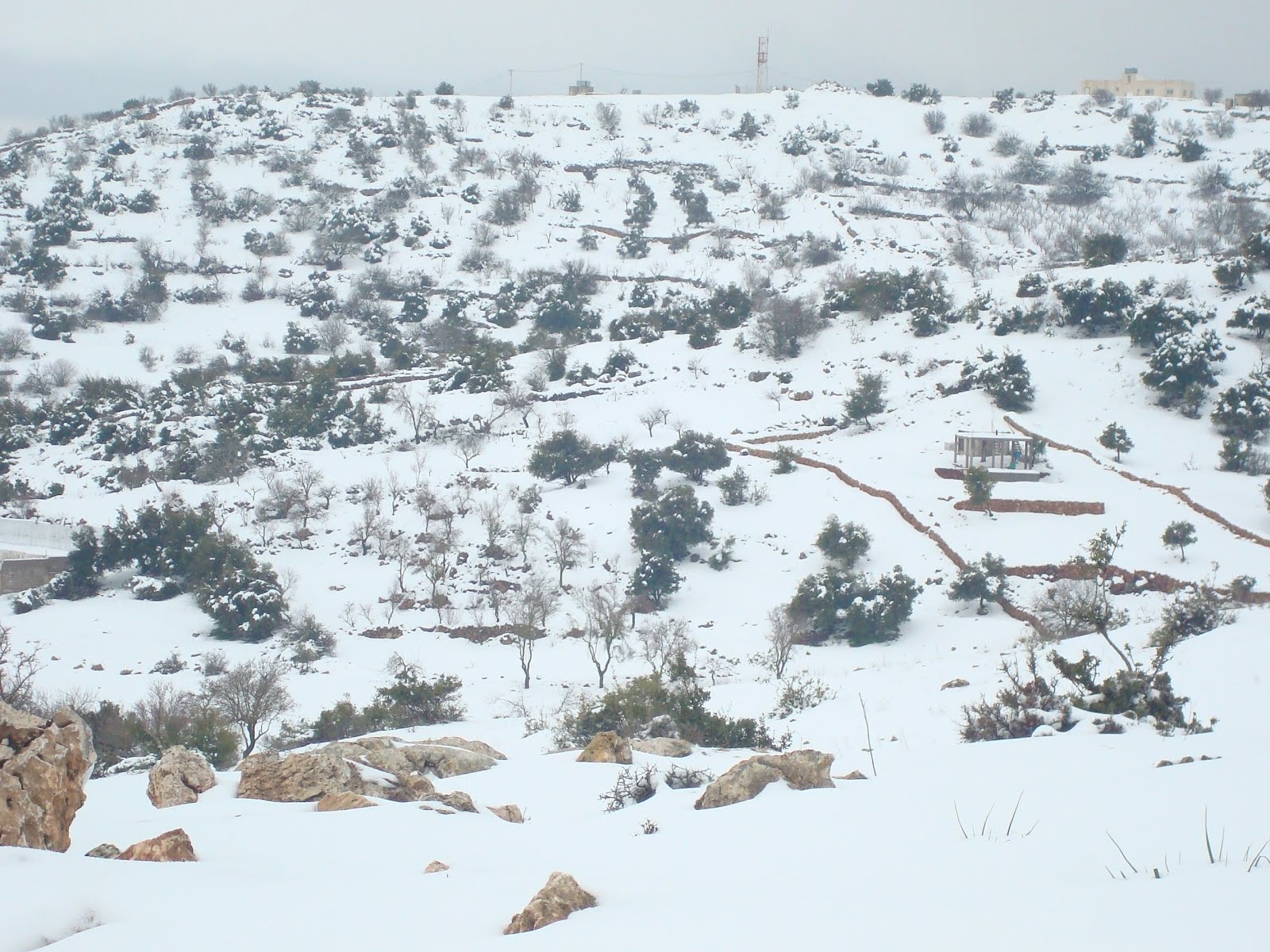 JORDAN snow in jordan