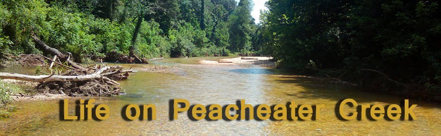 life on peach eater creek