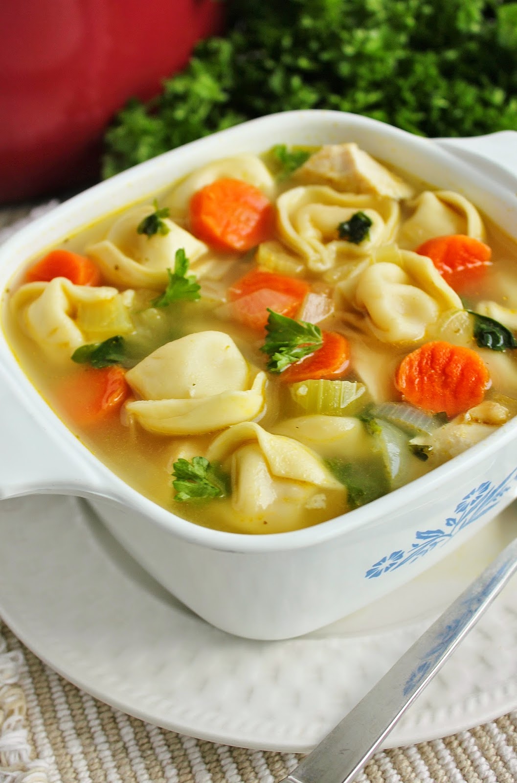Tortellini Chicken Noodle Soup