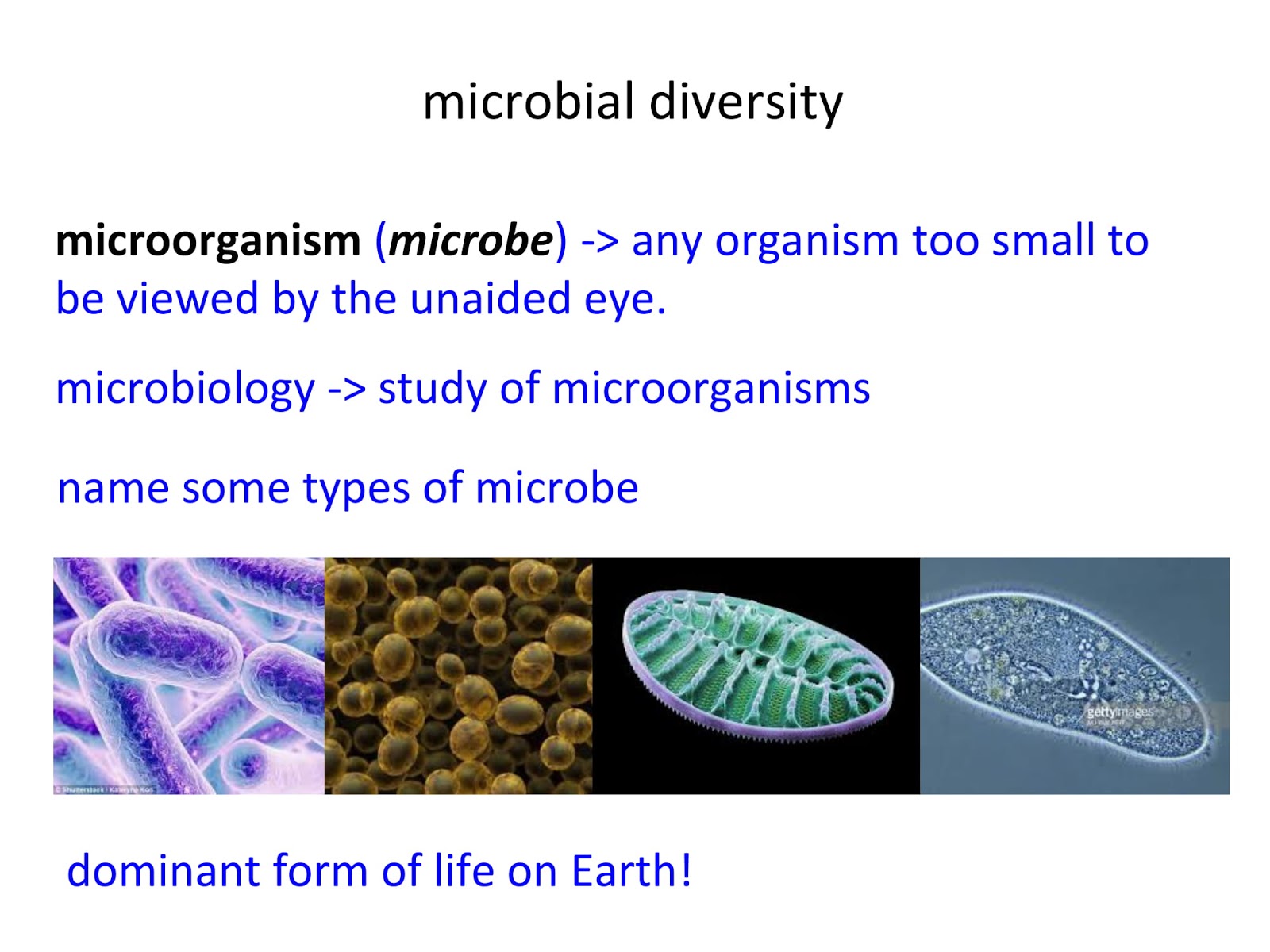 Brief Introduction of Microbial Diversity Microbes World