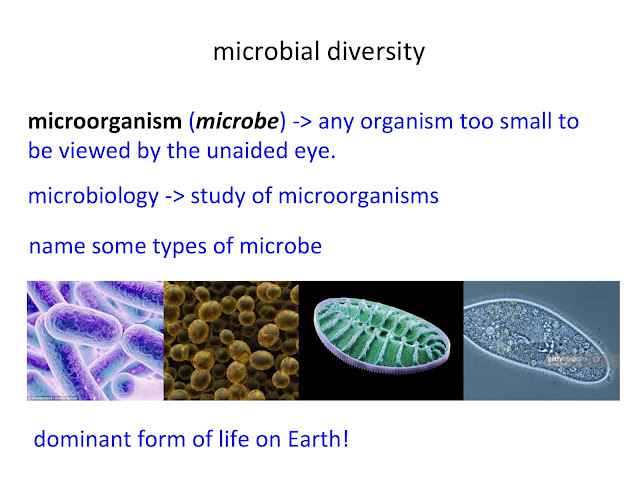 Brief Introduction of Microbial Diversity