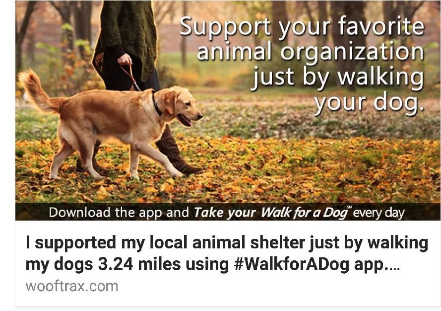 Taking a stroll. Прогулка "the walk. Картинка walk every day. Парк картинки. He for a walk every day.