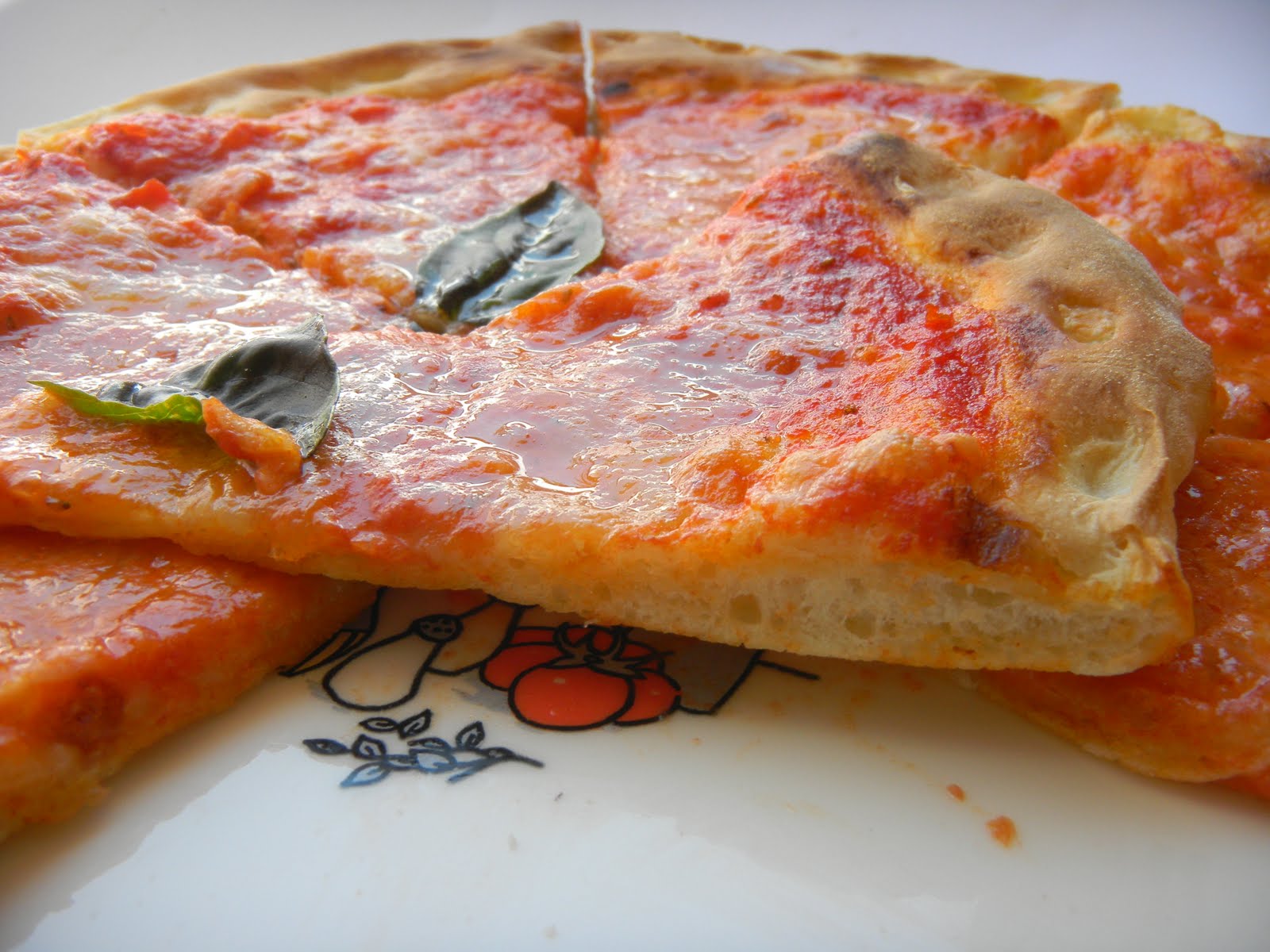 PIZZA Cotta su PIETRA REFRATTARIA nel FORNO di CASA - Impasto per la pizza  