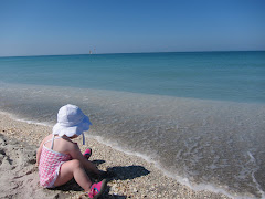 Some favorite photographs over the years...                            Captiva, FL