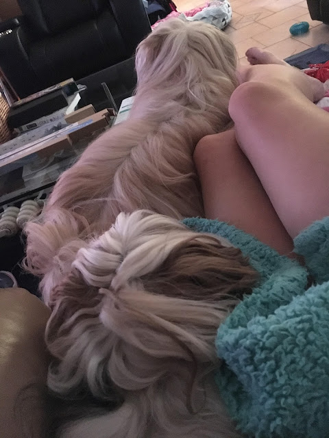Snuggling with the Puppers