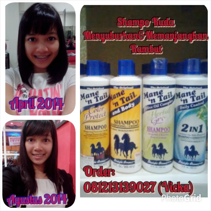 My Inspiration Review Shampoo Kuda Mane n Tail Yang Bikin Rambut Cepet Panjang