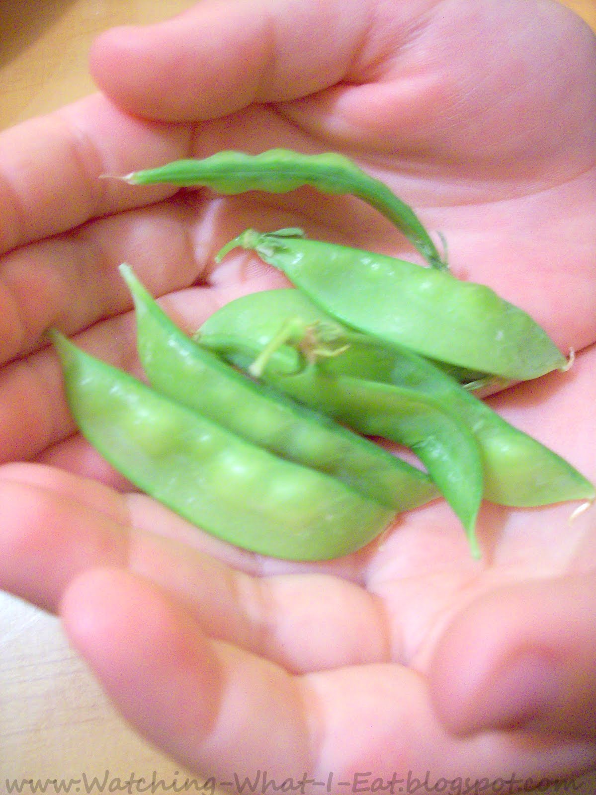 Watching What I Eat:  Garden 