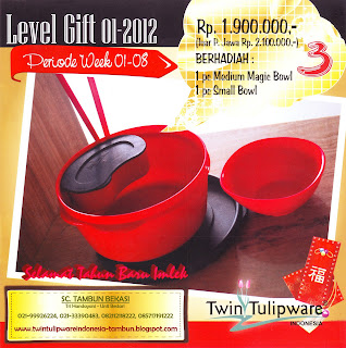 Level Gift Tulipware | Januari - Februari 2012