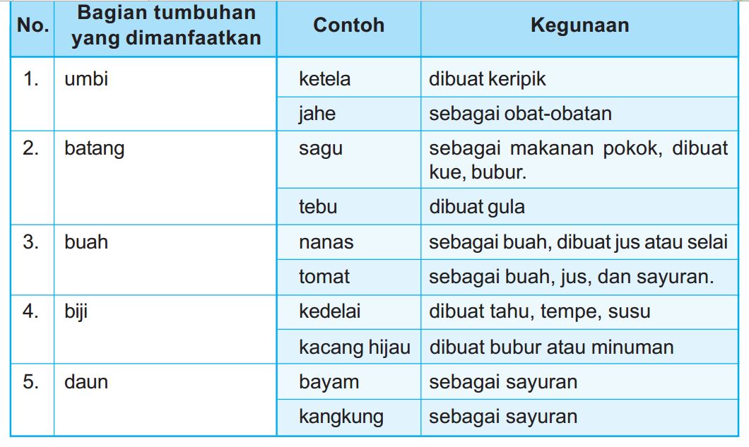 Materi Pembelajaran Ipa Kelas 5 Tumbuhan Hijau Mashenry Com