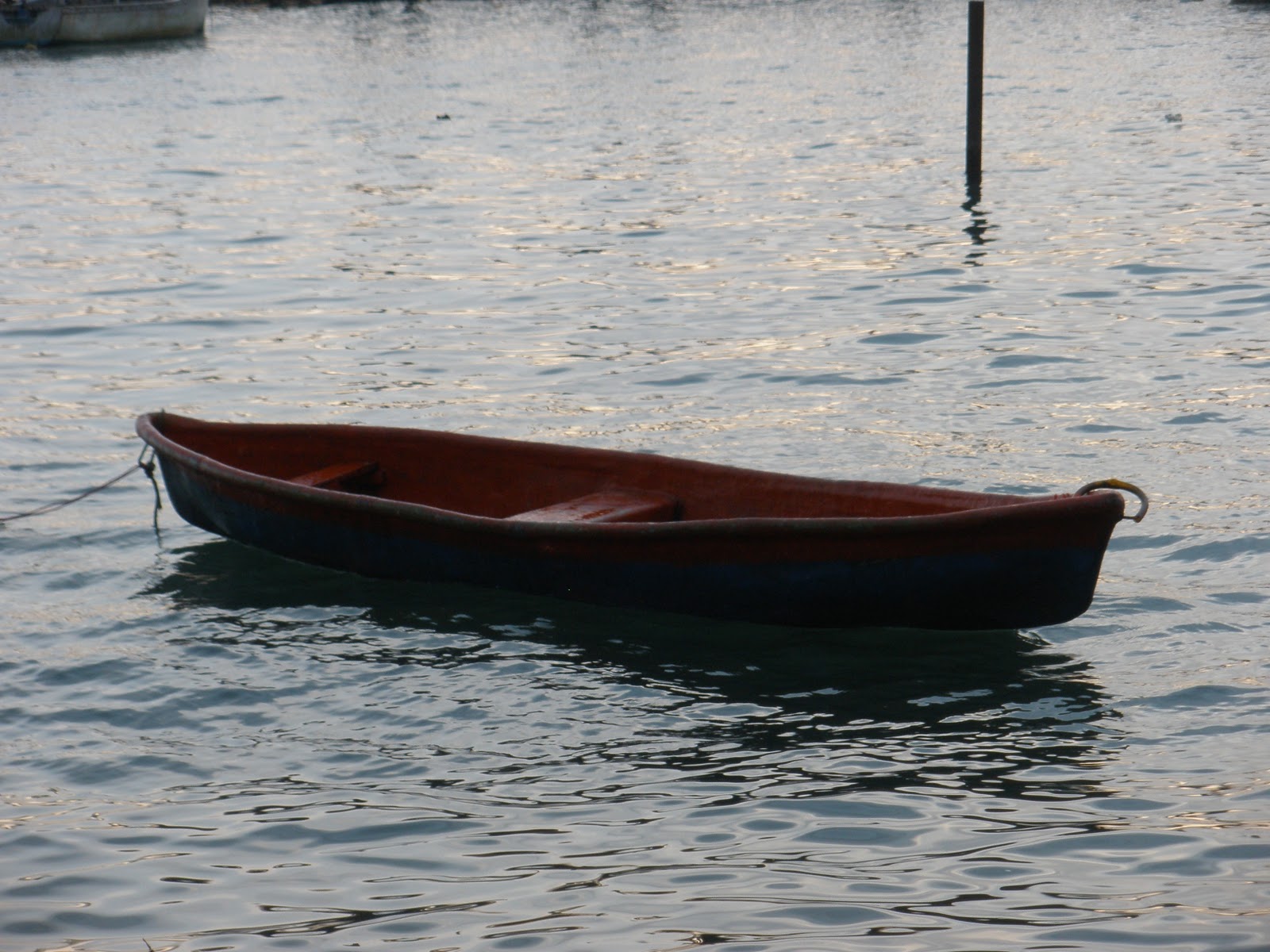 Before I Expire A Donkey In A Boat