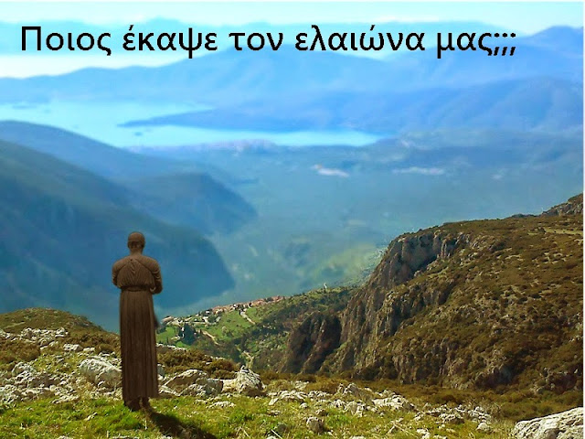 Αποτέλεσμα εικόνας για καμένα του Δελφικού Ελαιώνα