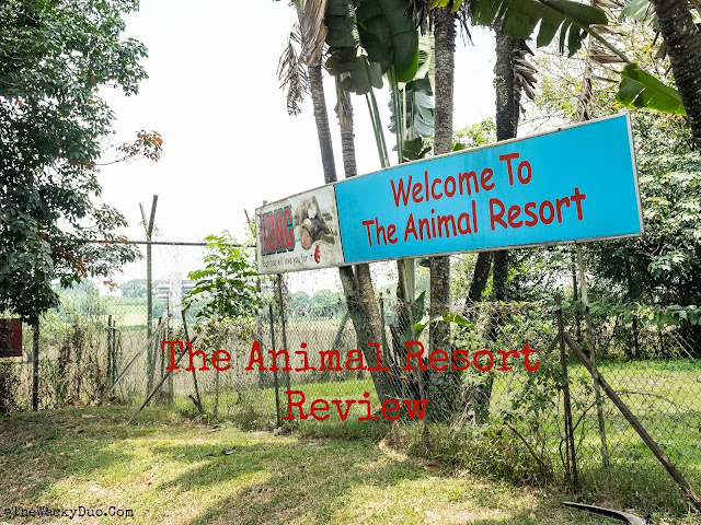 The Animal Resort Singapore @ Seletar West Farmway Review