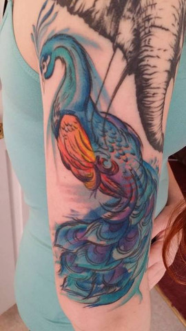 COLORIDO PEACOCK NO BRAÇO