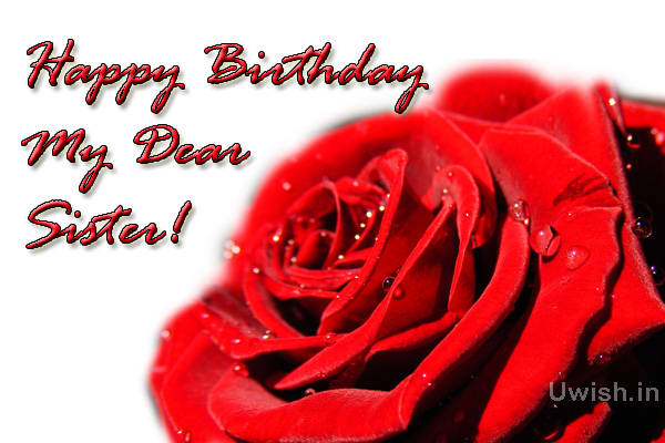Happy birthday to sister e greeting cards and wishes.