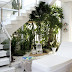 Incredible Small Under the Stairs Garden