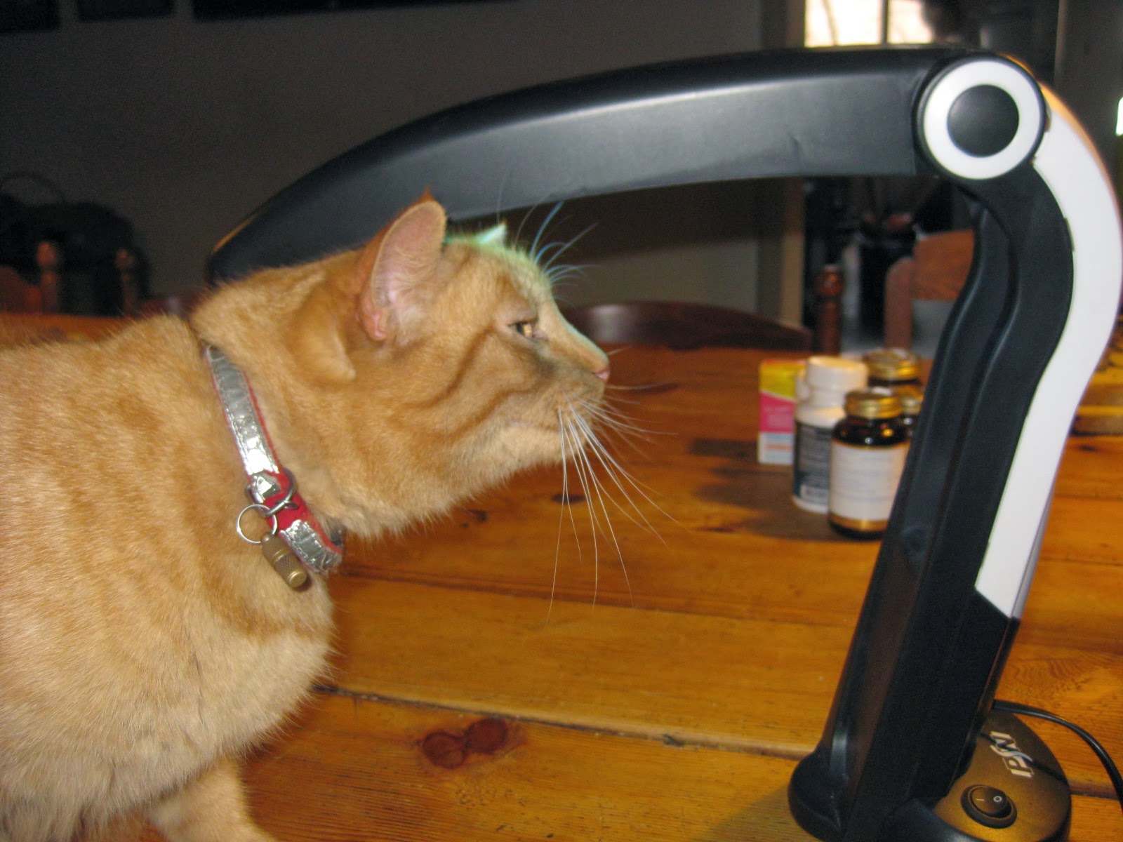 Scarlet Letters, dealing with vascular rosacea, face flushing, burning