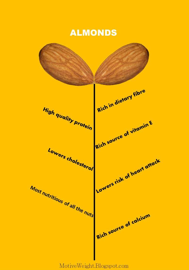 MotiveWeight Almonds Are Good For You