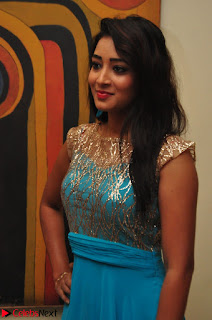 Bhanu Tripathi in Sleeveless Floor Lenght Anarkali gown At Desire Exhibition Launch 005