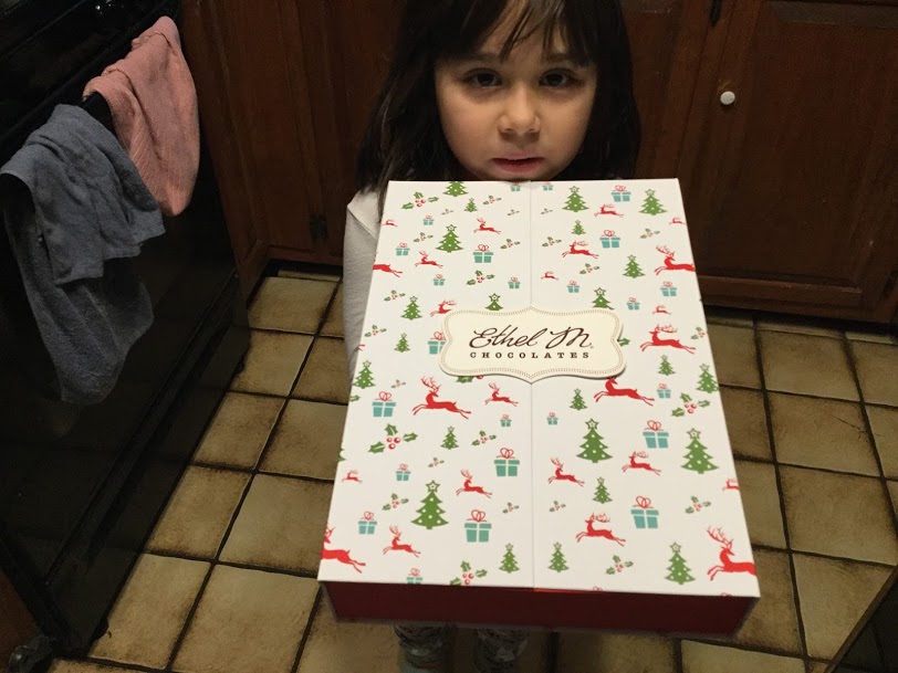 Inspired by Savannah Holiday Gift Guide 2017 Count Down to Christmas