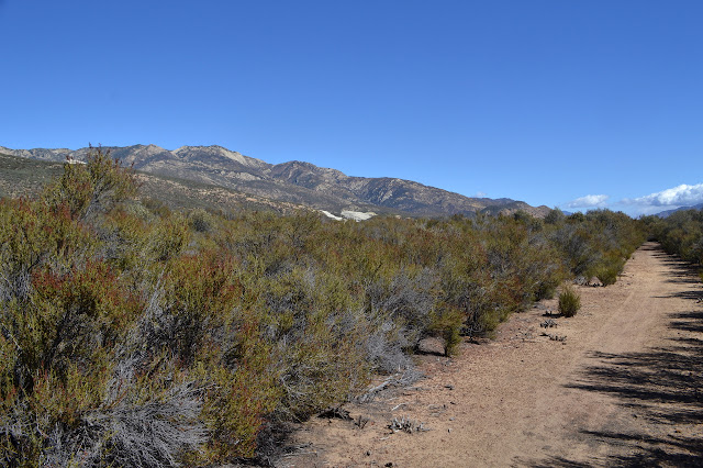 mountains and valley and trail