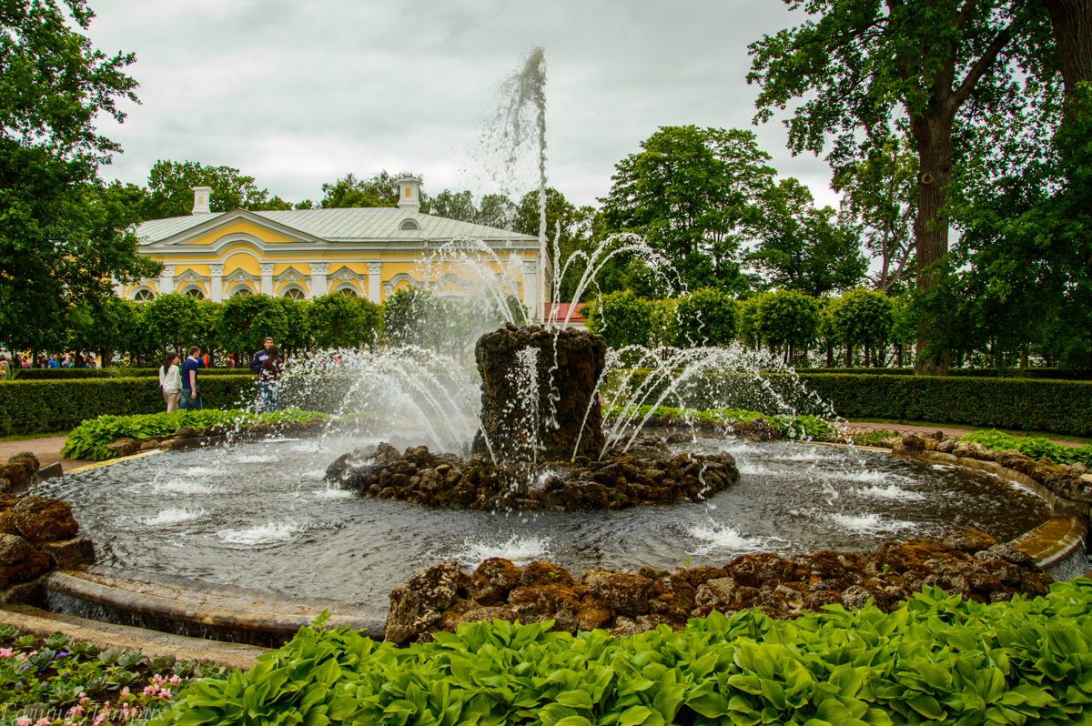 Парки петродворца