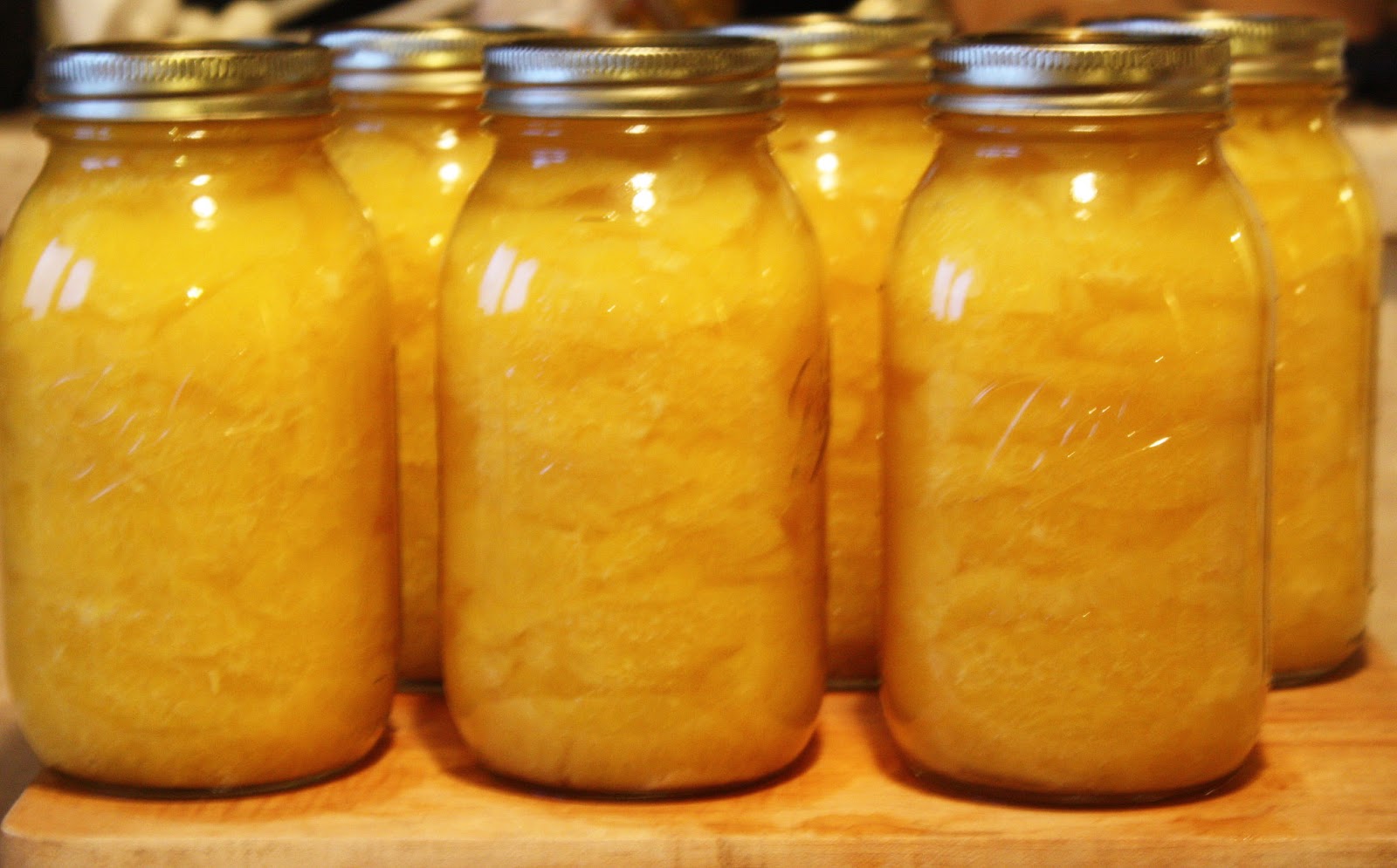 Chasing Freedom January 2013