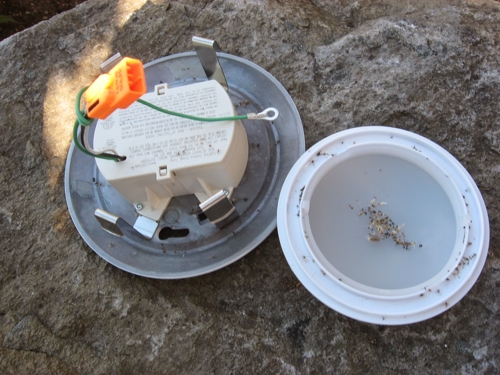 Energy Conservation How To 3000°K LEDs Do Attract Bugs