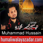 https://www.humaliwalyazadar.com/2018/09/muhammad-hussain-nohay-2019.html