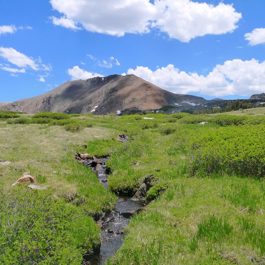 Peaks For Freaks: Koip Peak, Kuna Peak