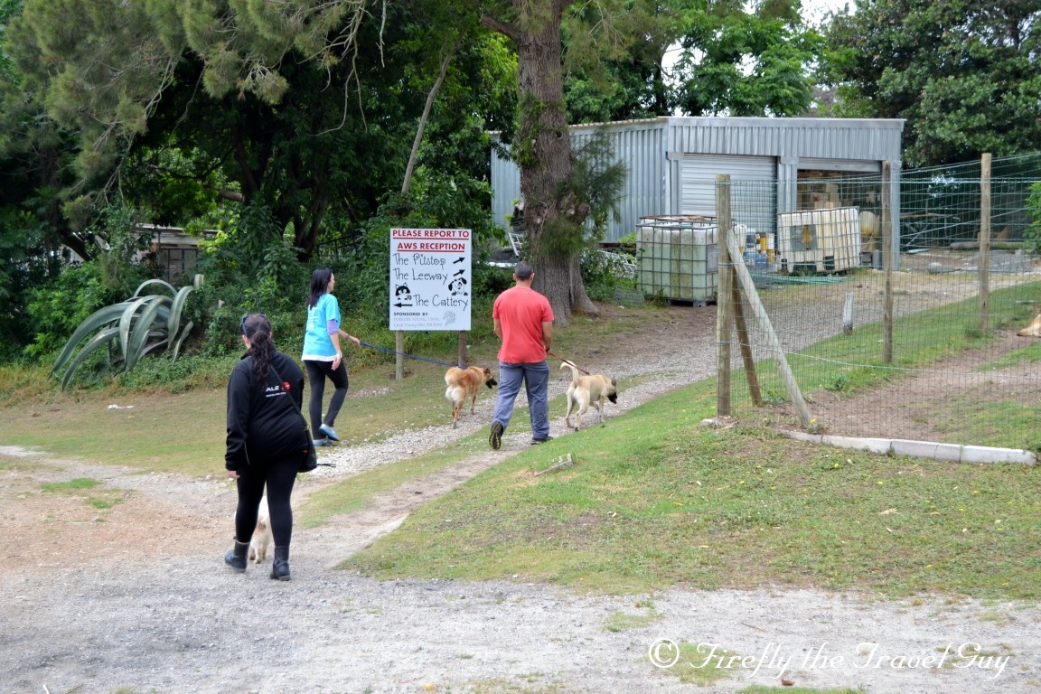 Port Elizabeth Daily Photo 2016