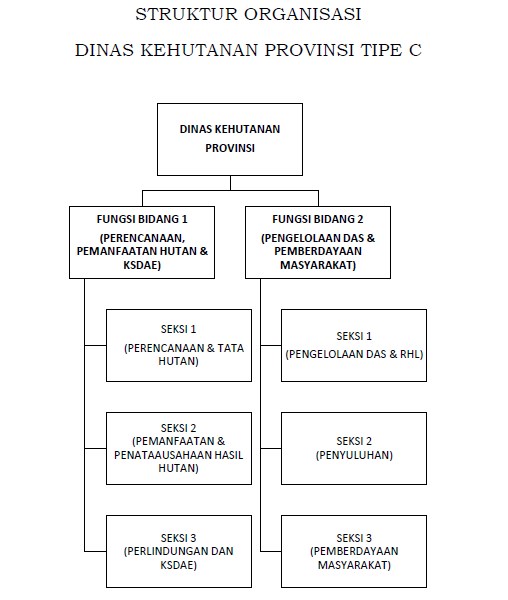 STRUKTUR ORGANISASI DINAS KEHUTANAN PROVINSI TIPE C STRUKTUR ORGANISASI DINAS KEHUTANAN PROVINSI TIPE C