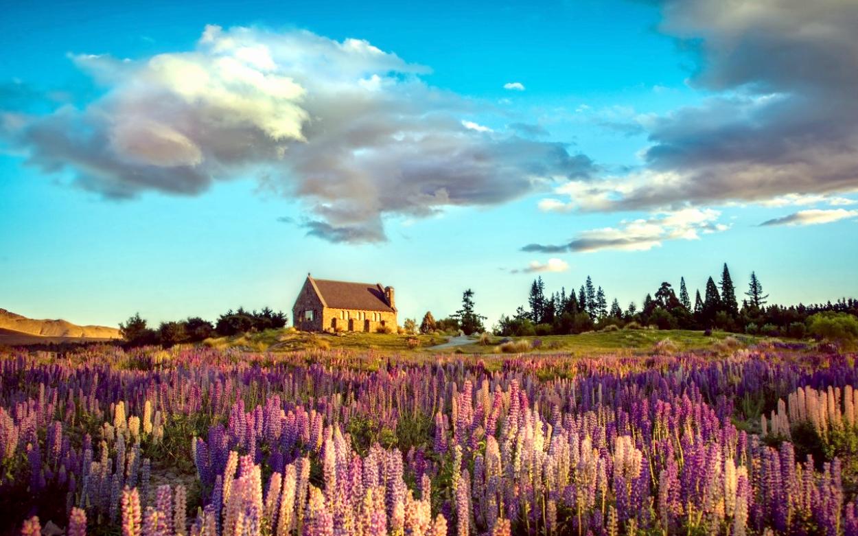 SOOTHING PEACE OF MIND NATURE PICTURES: MEADOWS: Peace of Mind Wallpapers