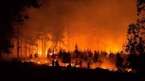 Incendios forestales en Chile 2019: