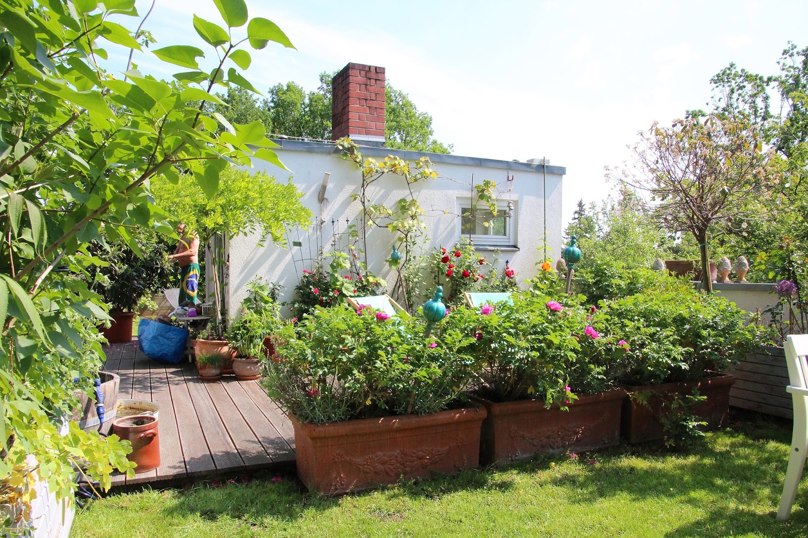 Ein CottageGarten auf dem Dach
